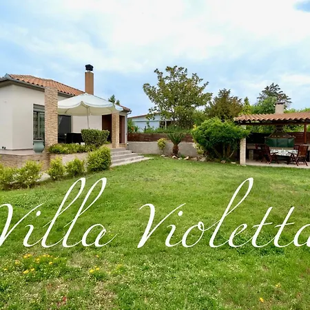 Villa Violetta Néa Ankhíalos